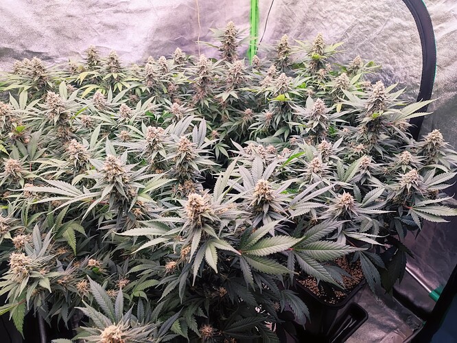 Growreport Bild 11