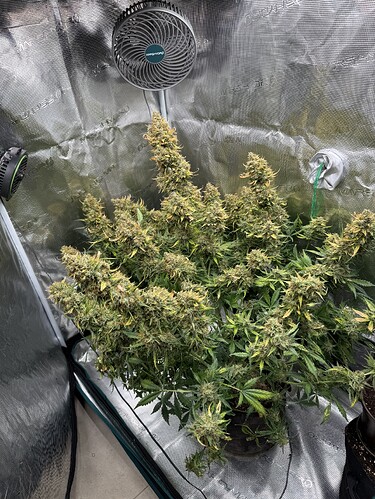Growreport Bild 1