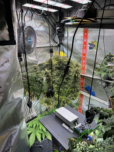 Growreport Bild 17
