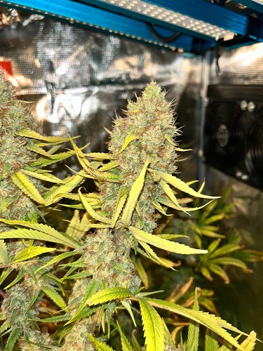 Growreport Bild 12