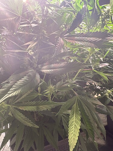 Growreport Bild 15