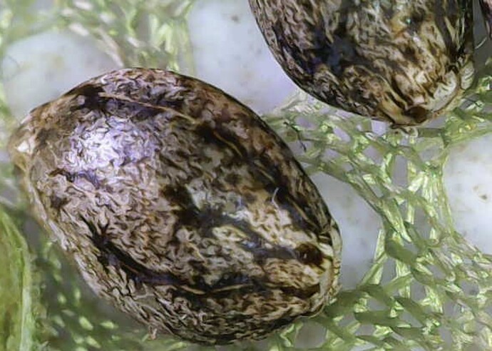 Image_2025-04-10 10_05_44_268