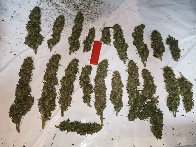 Growreport Bild 14