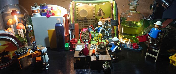 Growreport Bild 3