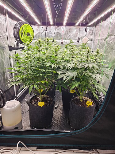 Growreport Bild 1