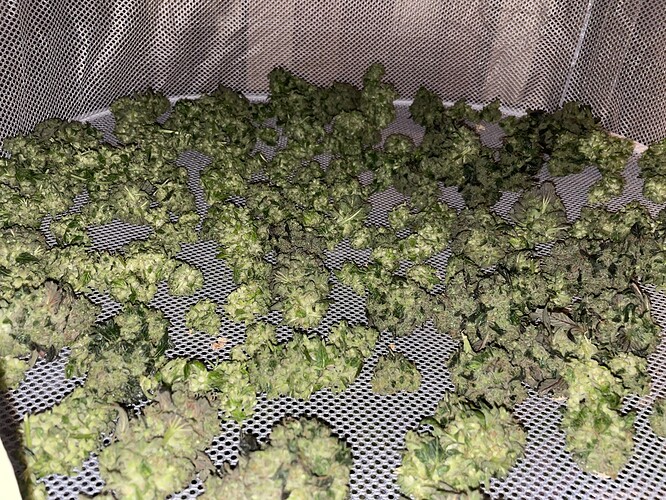 Growreport Bild 15