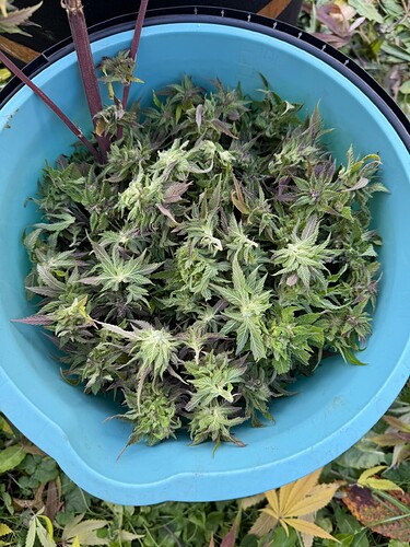 Growreport Bild 23
