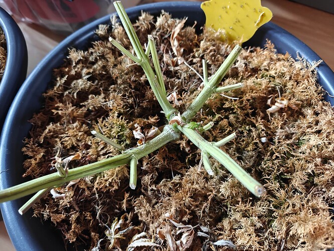 Growreport Bild 9