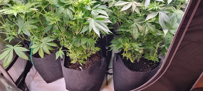 Growreport Bild 9