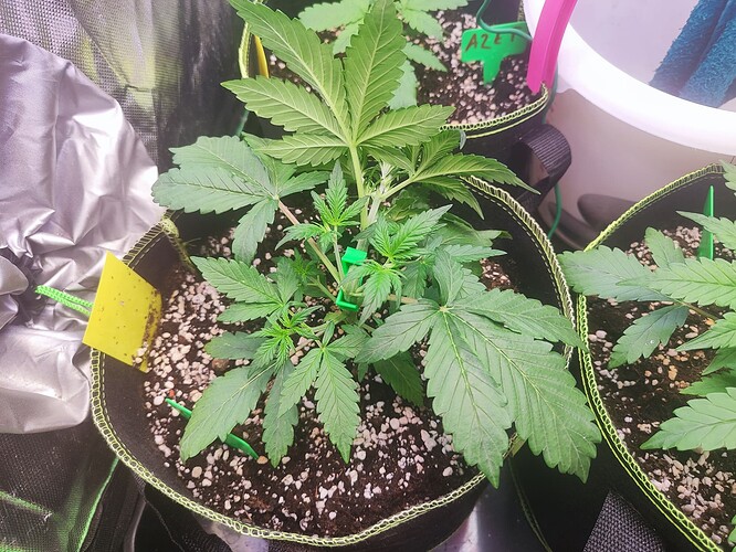 Growreport Bild 5