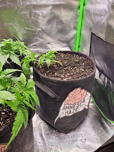 Growreport Bild 18