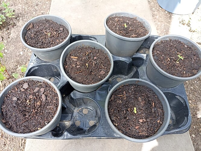 WhatsApp Bild 2025-05-15 um 14.14.52_16215e74