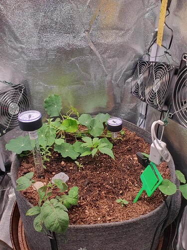 Tag 13 -2025-09-04-162225_003