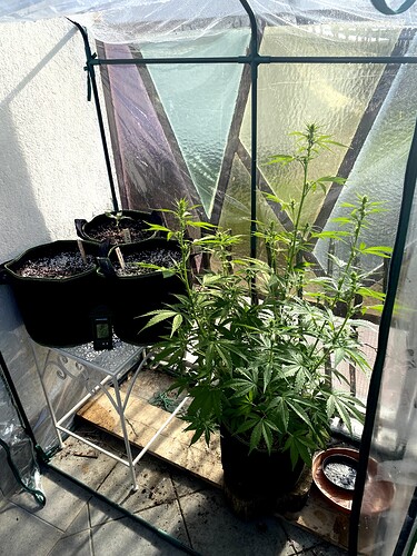 Growreport Bild 2