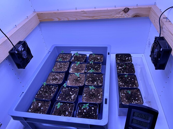 Growreport Bild 5