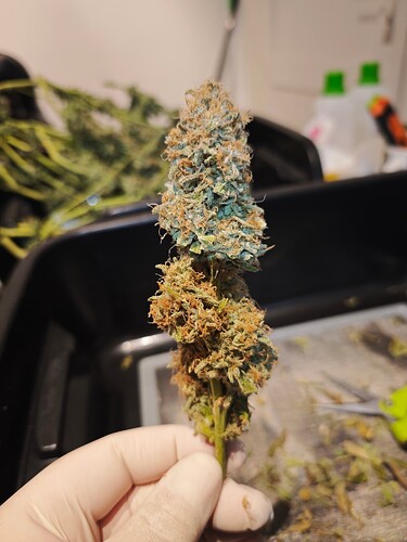 MVIMG_20251209_163910