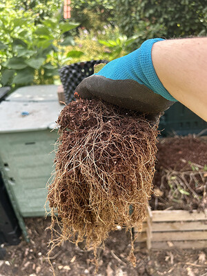 Growreport Bild 17