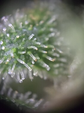 Growreport Bild 10