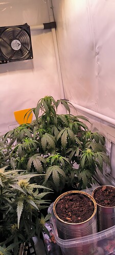 Growreport Bild 22