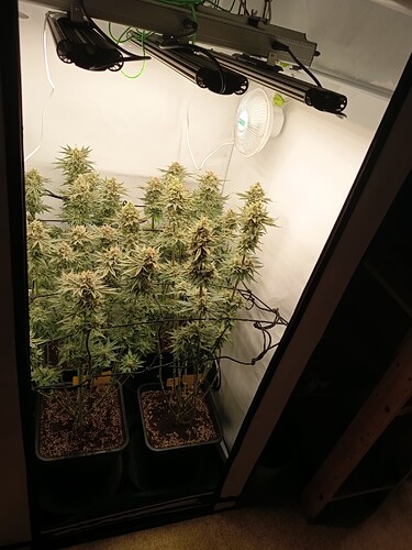 Growreport Bild 19
