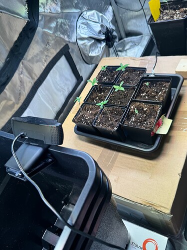 Growreport Bild 21