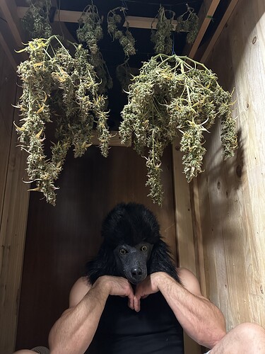 Growreport Bild 7