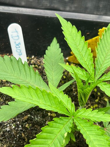Growreport Bild 24
