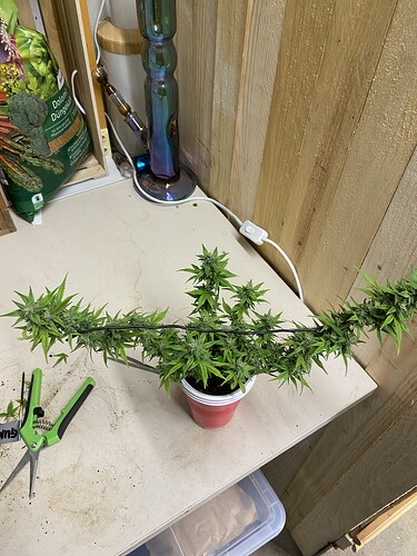 Growreport Bild 10
