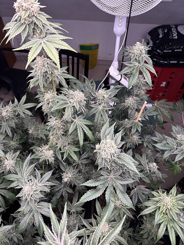 Growreport Bild 11