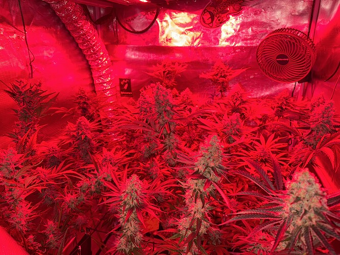 Growreport Bild 1