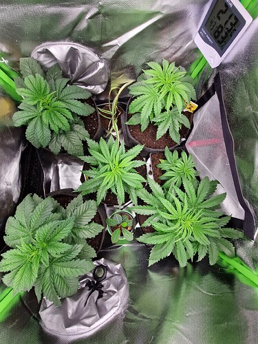 Growreport Bild 14