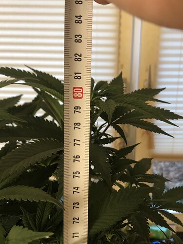 Growreport Bild 22