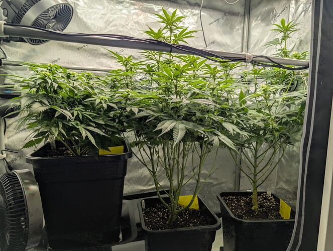 Growreport Bild 2