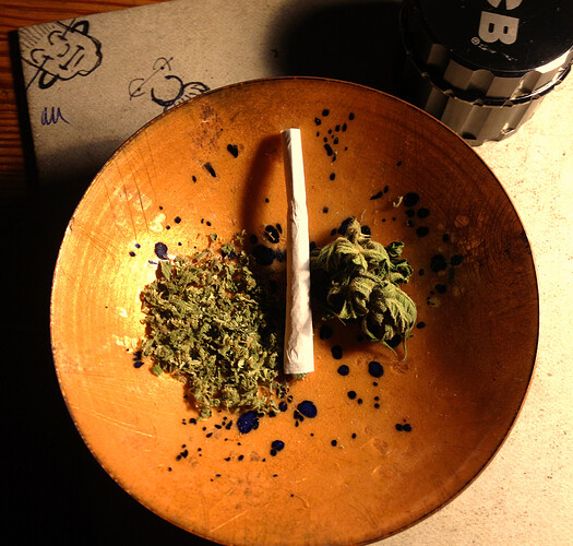 JackHerer2_verkostung