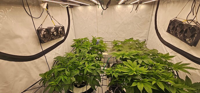 Growreport Bild 7