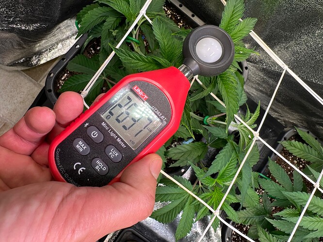 Growreport Bild 74