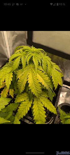 Screenshot_20240828-104527