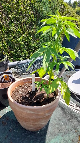 Growreport Bild 8