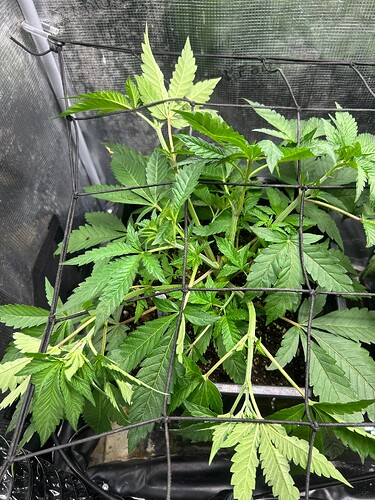 Growreport Bild 24