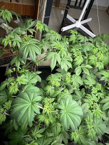 Growreport Bild 20