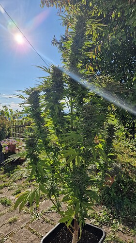 Growreport Bild 26
