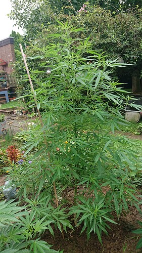Growreport Bild 14