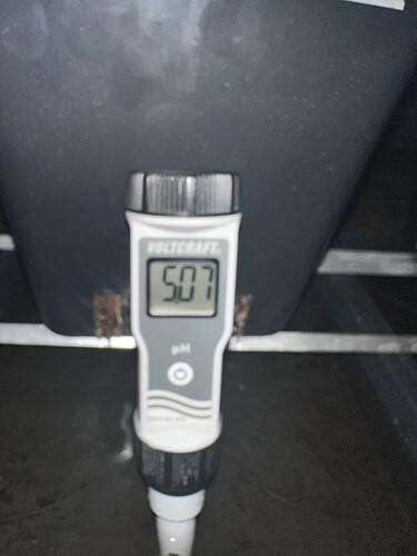 Growreport Bild 4