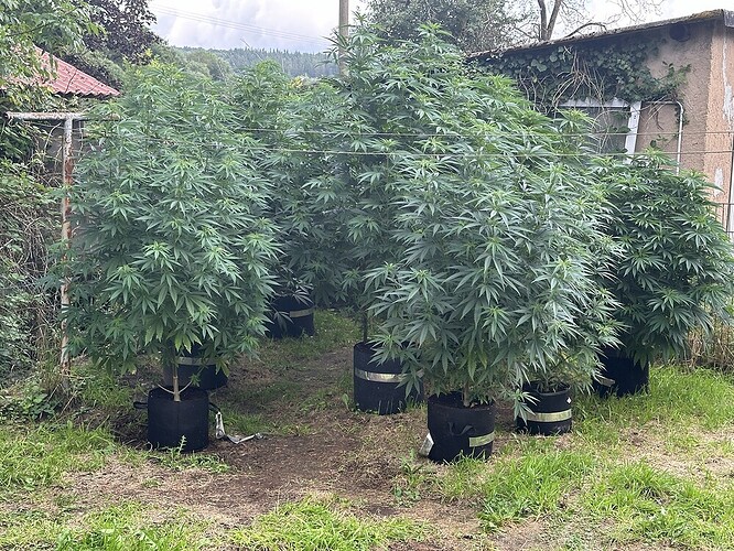 11516d914e4835d729d38b636c7ff2ef9a356c16_2_999x750