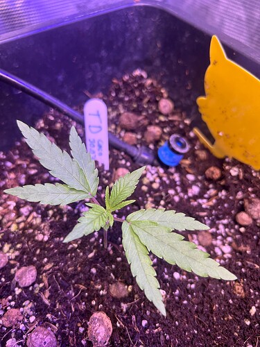 Growreport Bild 22