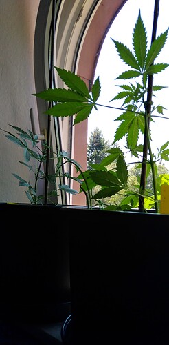Growreport Bild 6
