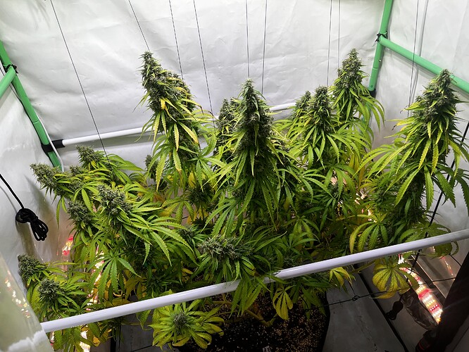 Growreport Bild 8