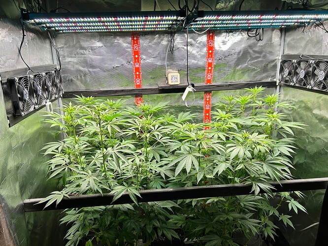 Growreport Bild 6