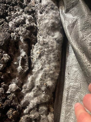 Growreport Bild 10