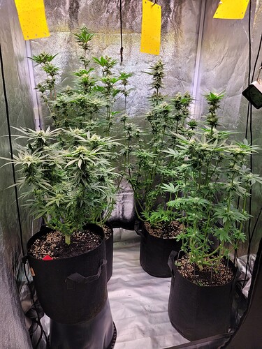 Growreport Bild 11